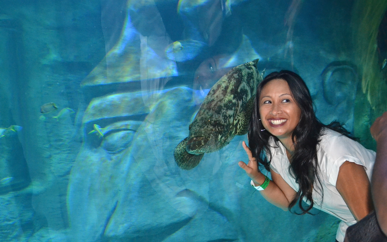 Go Under-The-Sea at Orlando Sea Life Aquarium