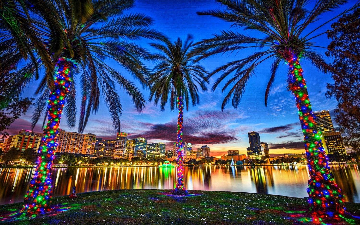 Orlando : The City Beautiful, But So Much More!