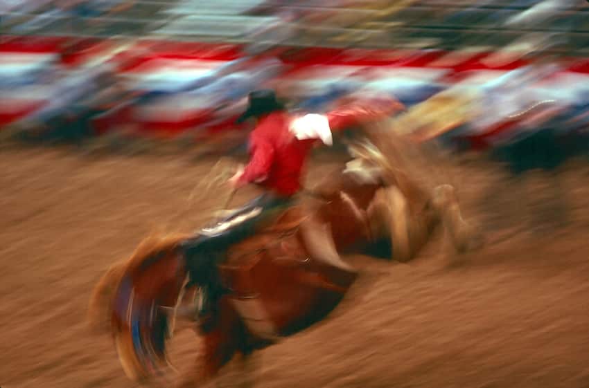 136th Silver Spurs Rodeo ShareOrlando 99