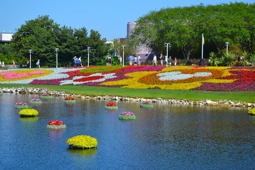 Epcot Flower and Garden ShareOrlando Orlando 12