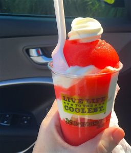 Jeremiahs Gelati-Ice-Cream-Orlando-ShareOrlando Review 03