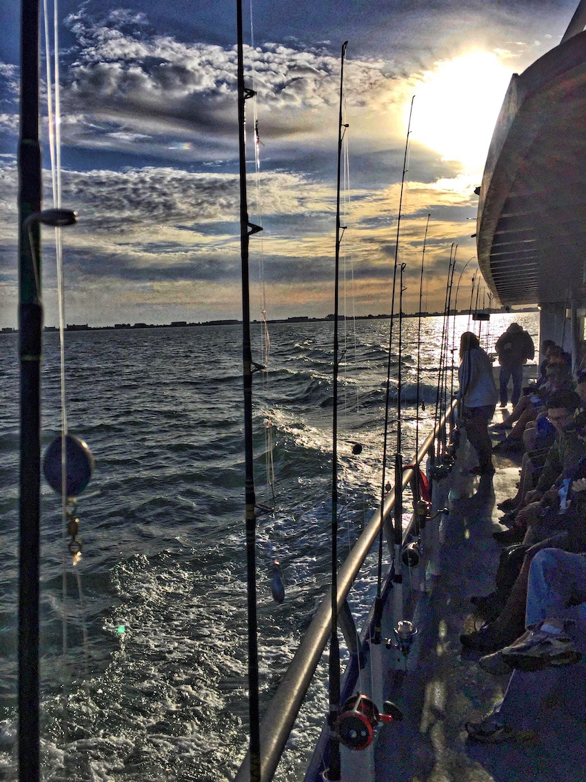 Deep Sea Fishing - ShareOrlando - Hubbards Marina 04