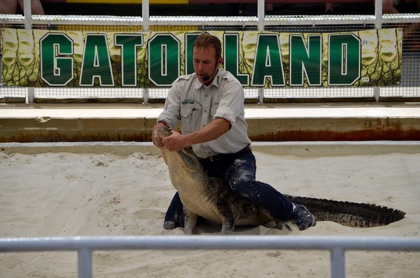 Gatorland Top 5 To Do | Orlando ShareOrlando 31