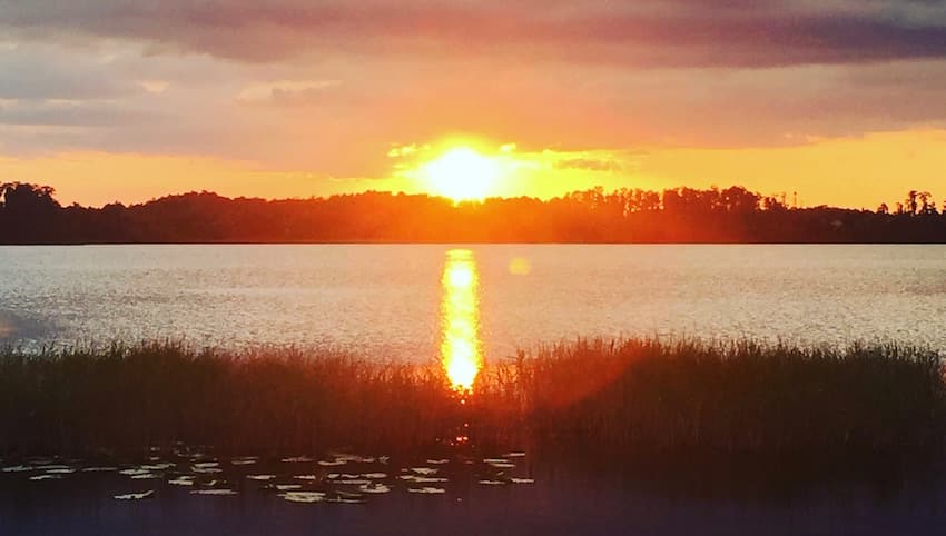 Lake Louisa State Park - 3 Reasons - ShareOrlando 1