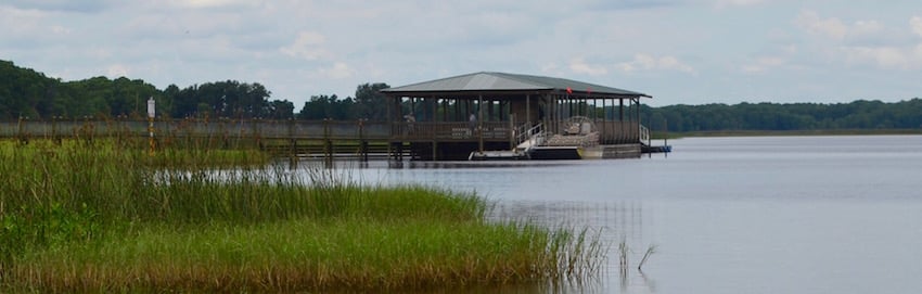 Wild Florida Airboat Tours Wildlife Park - ShareOrlando 32.jpg