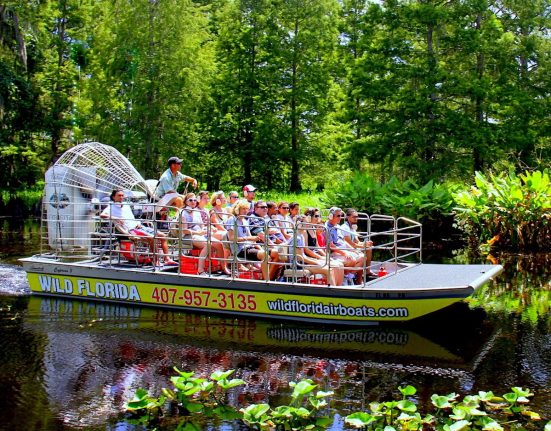 Wild Florida Airboat Tours Wildlife Park - ShareOrlando 57