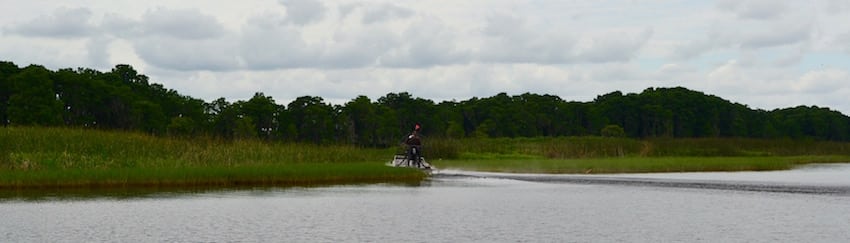 Wild Florida Airboat Tours Wildlife Park - ShareOrlando 6