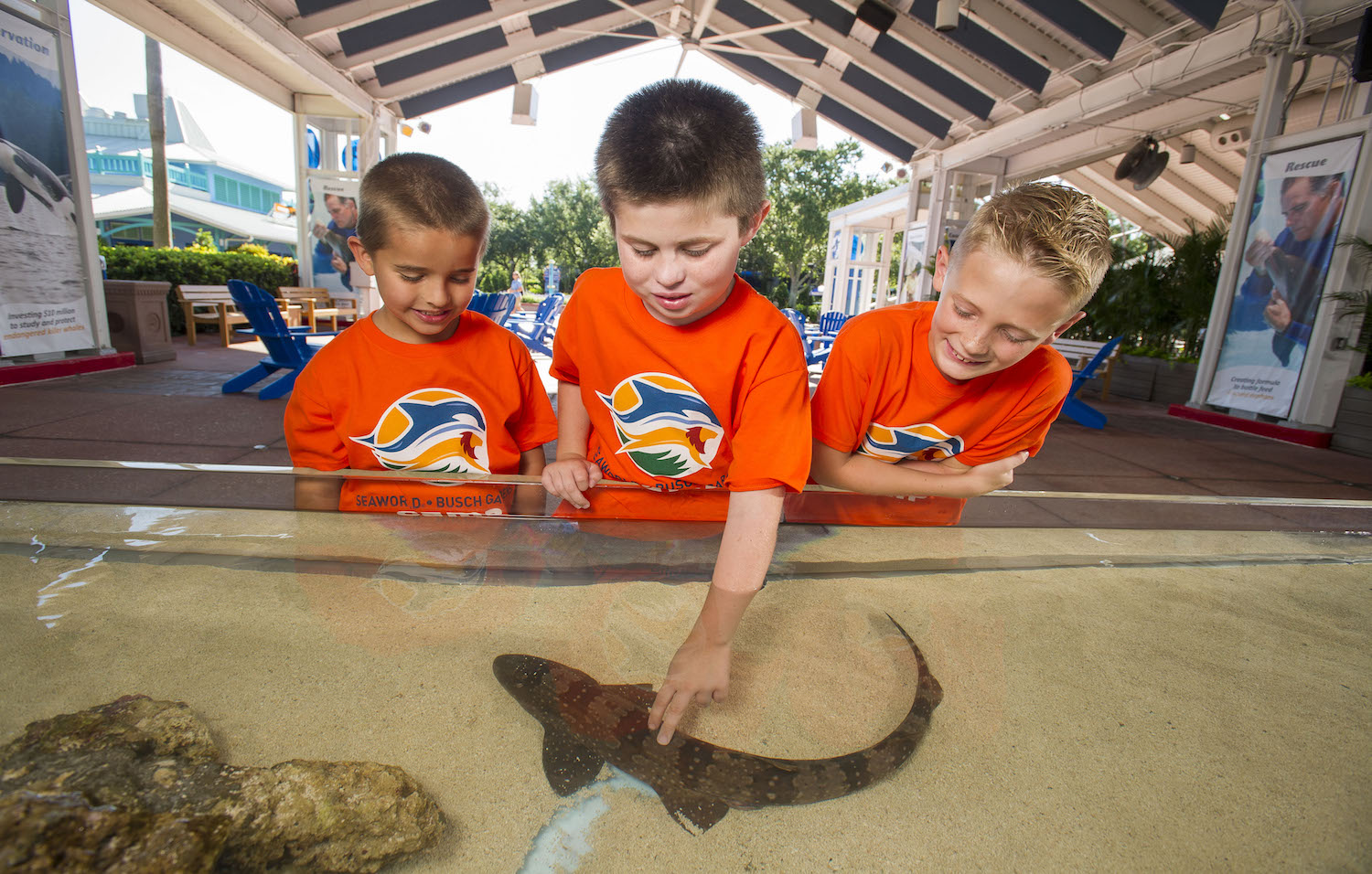 Summer Camp at SeaWorld is Fun and Exciting!