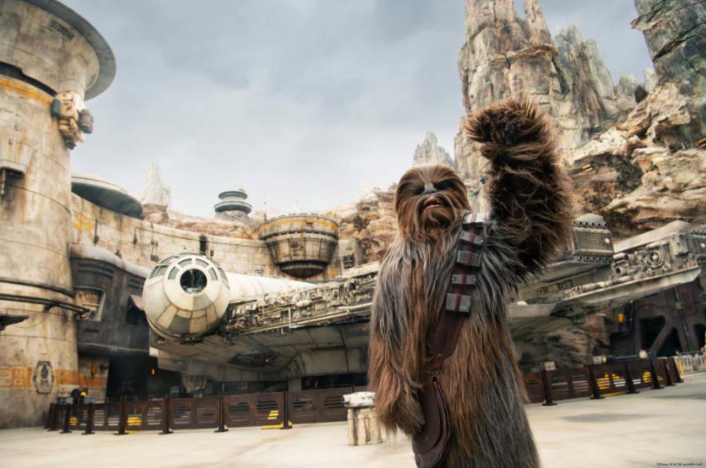 disney hollywood studios star wars galaxy edge